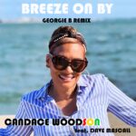 BREEZE ON BY ARTWORK (Georgie B Remix)
